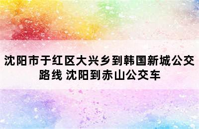 沈阳市于红区大兴乡到韩国新城公交路线 沈阳到赤山公交车